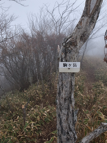 20131109_赤城山（黒檜山・駒ケ岳）