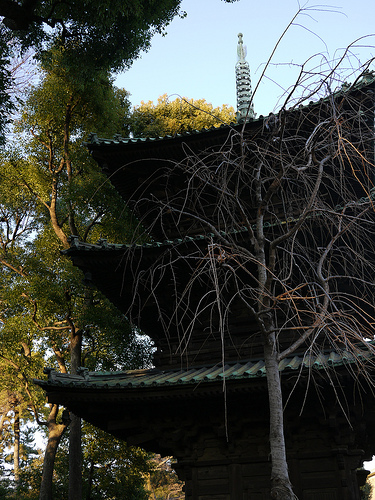 20100117_護国寺から早稲田へ