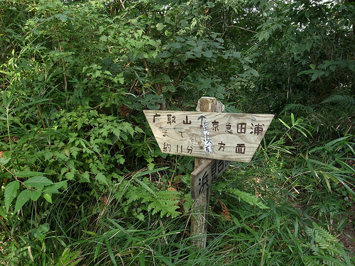 20130810_鷹取山